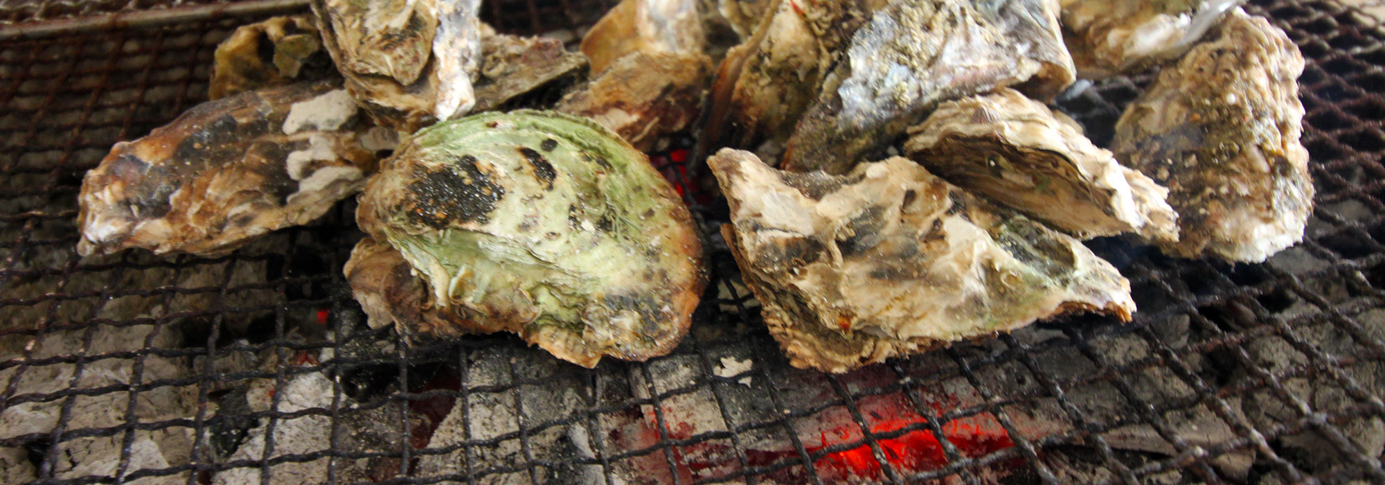 カキ食べ放題